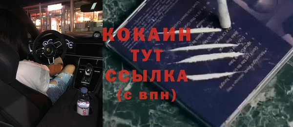 бутират Инсар