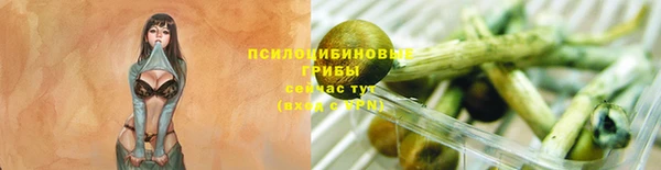 бутират Инсар