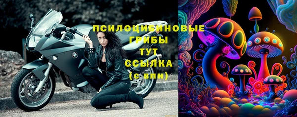 бутират Инсар