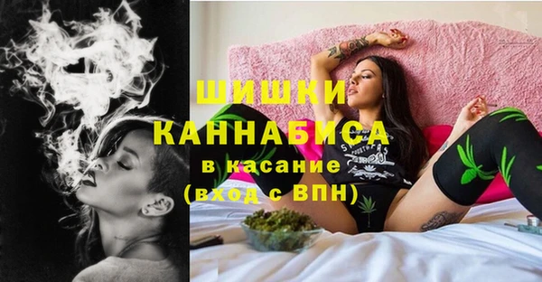 бутират Инсар