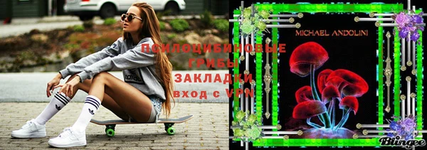 бутират Инсар