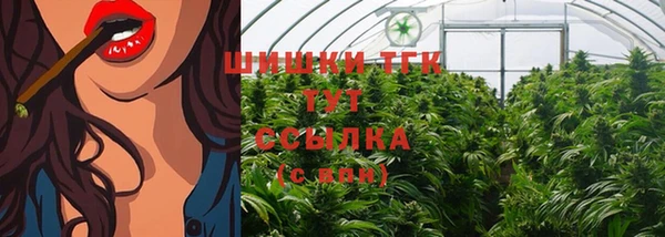 2c-b Инта