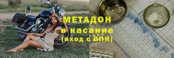 индика Каменногорск