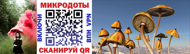 Галлюциногенные грибы ЛСД  Купить  Луховицы 