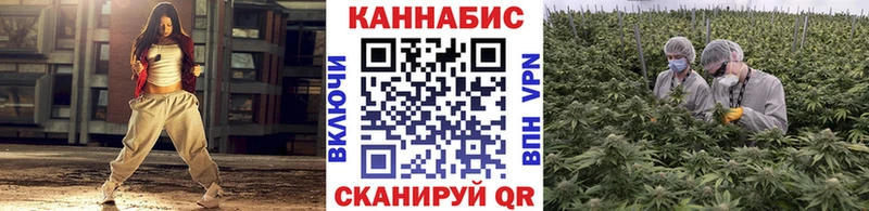 Шишки марихуана конопля  Купить где  Луховицы 